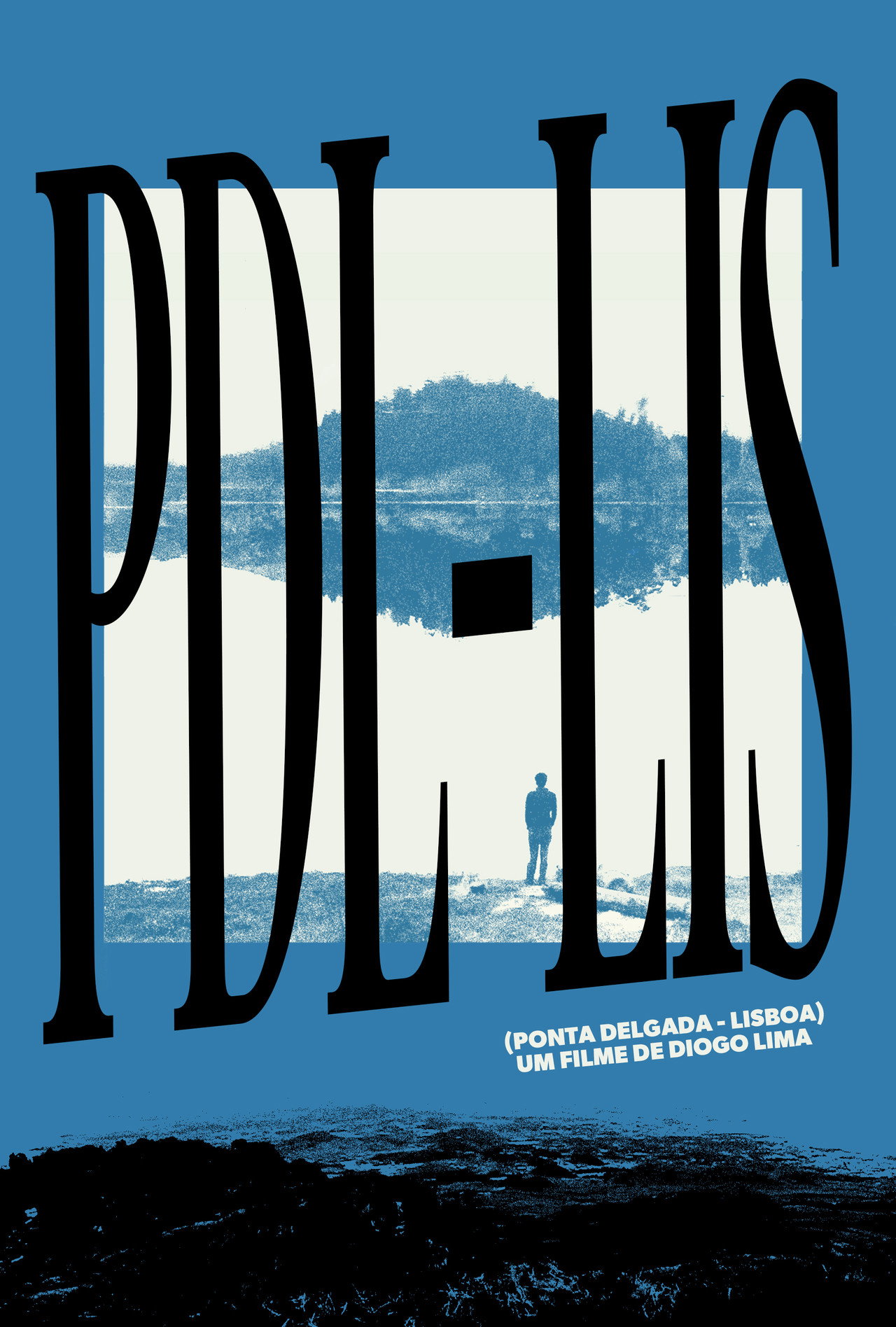 PDL-LIS