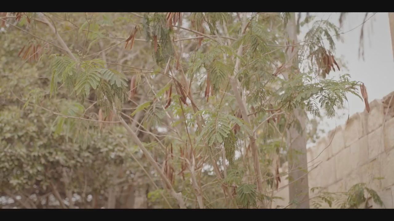 بنت السلطان — Épisode 15