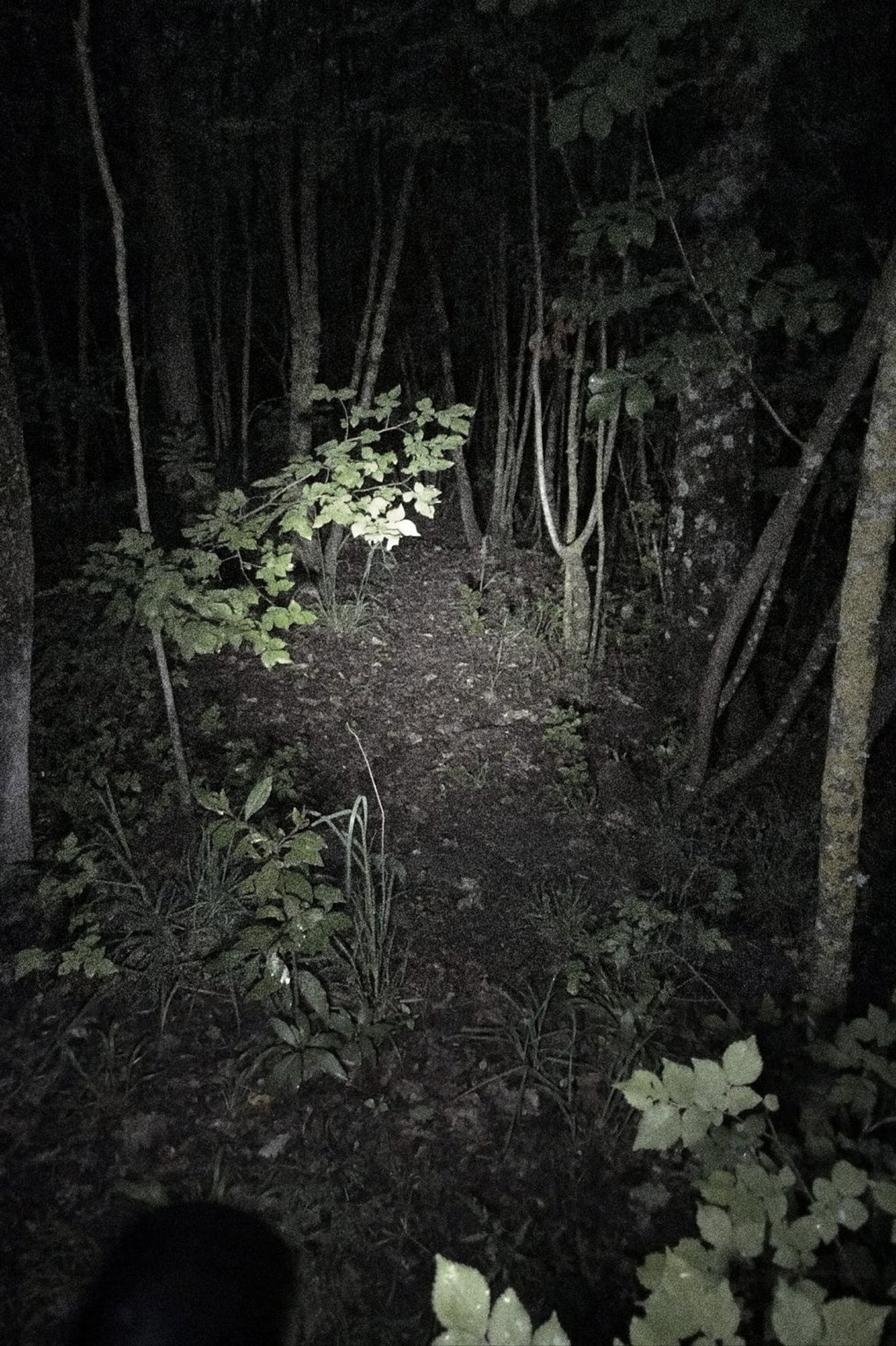 Untitled Found Footage Project poster