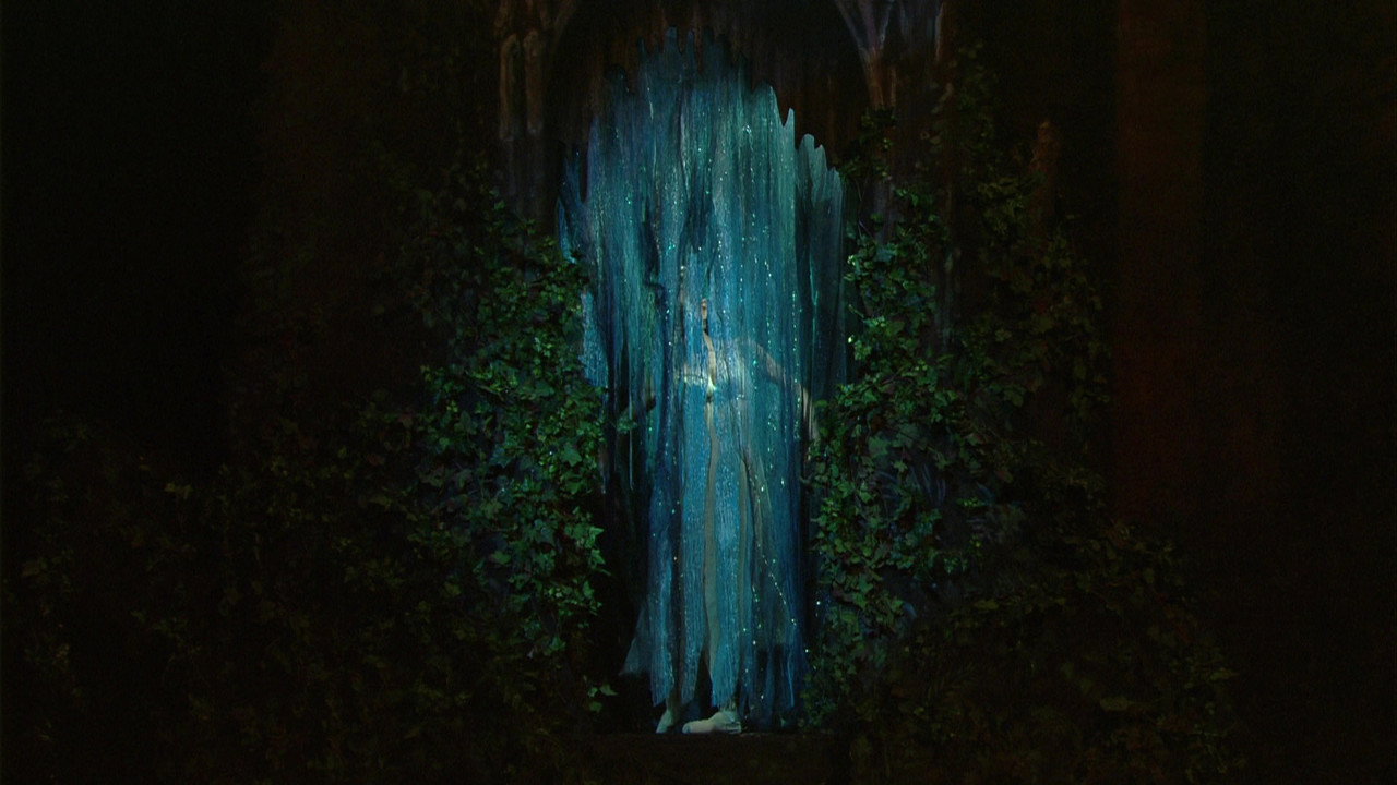 Fondo