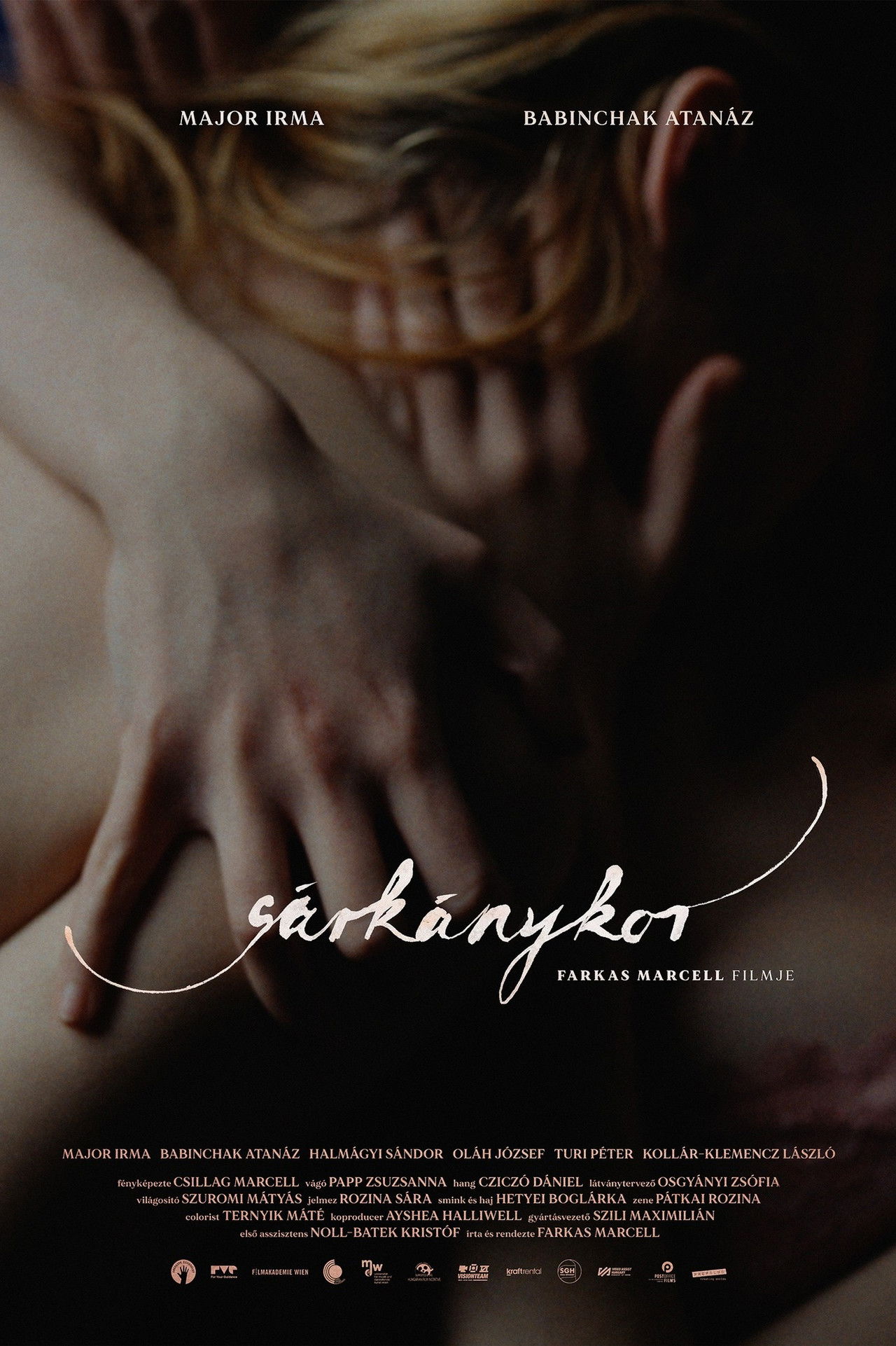 Age of the Dragon Backdrop