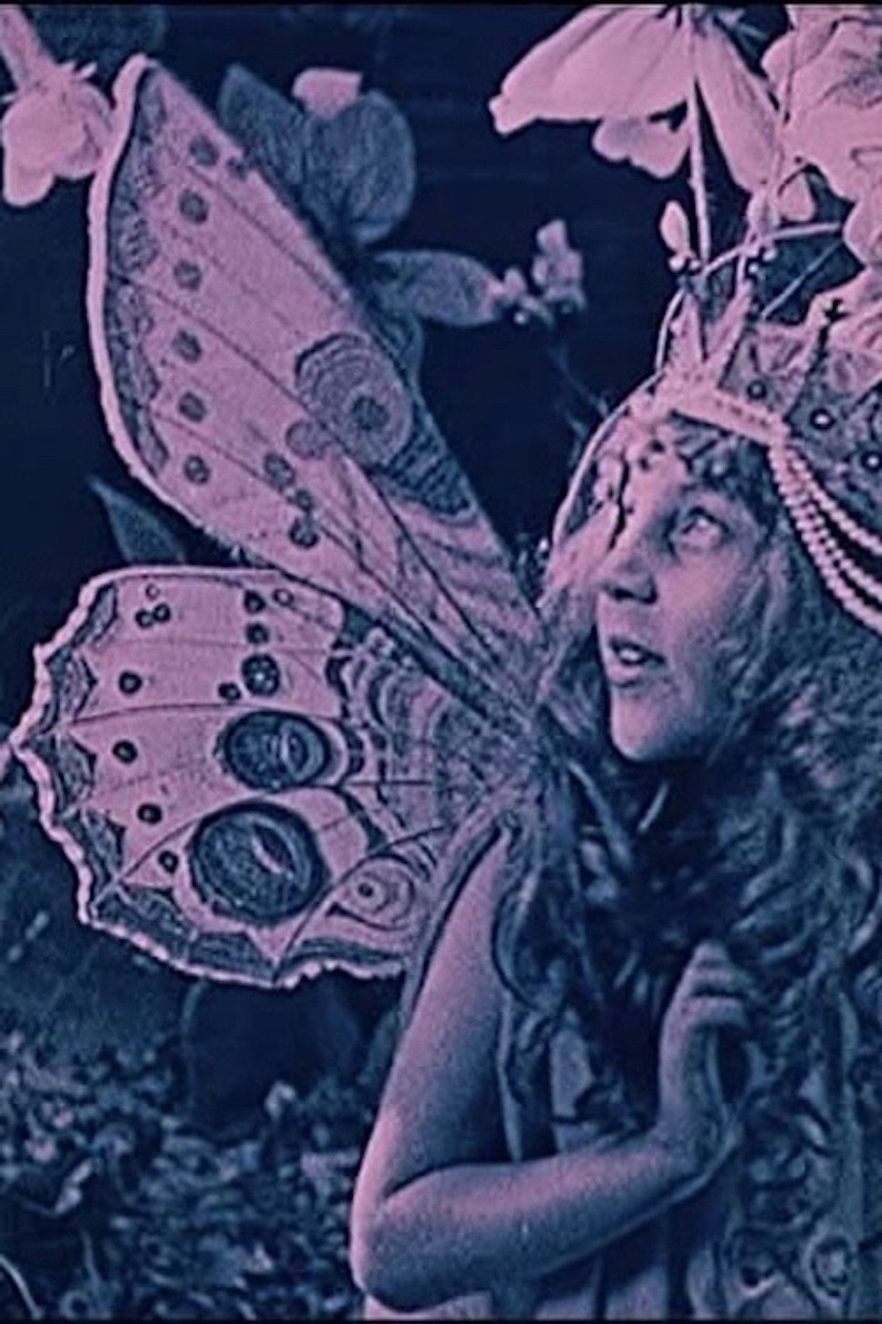 The Queen of the Butterflies Backdrop