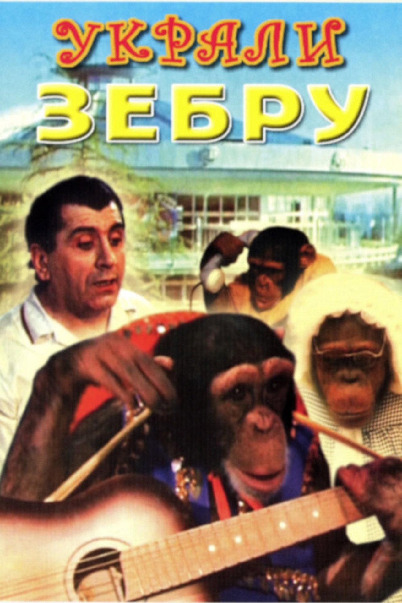 Украли зебру filmaffisch