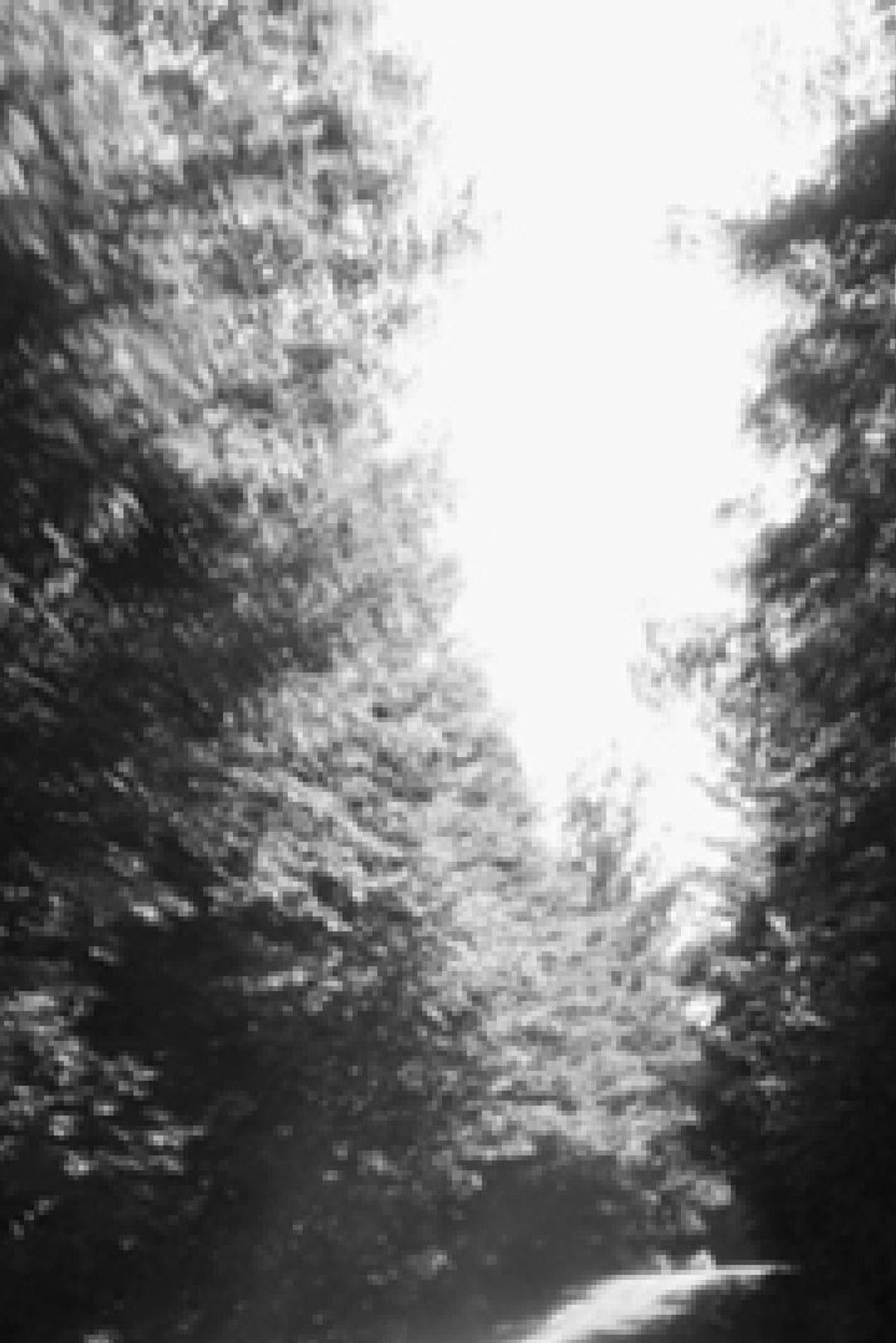 Parallel North filmaffisch