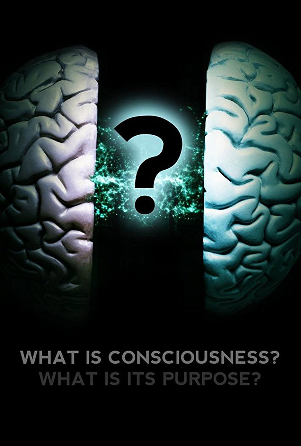 What Is Consciousness? What Is Its Purpose? (2017)