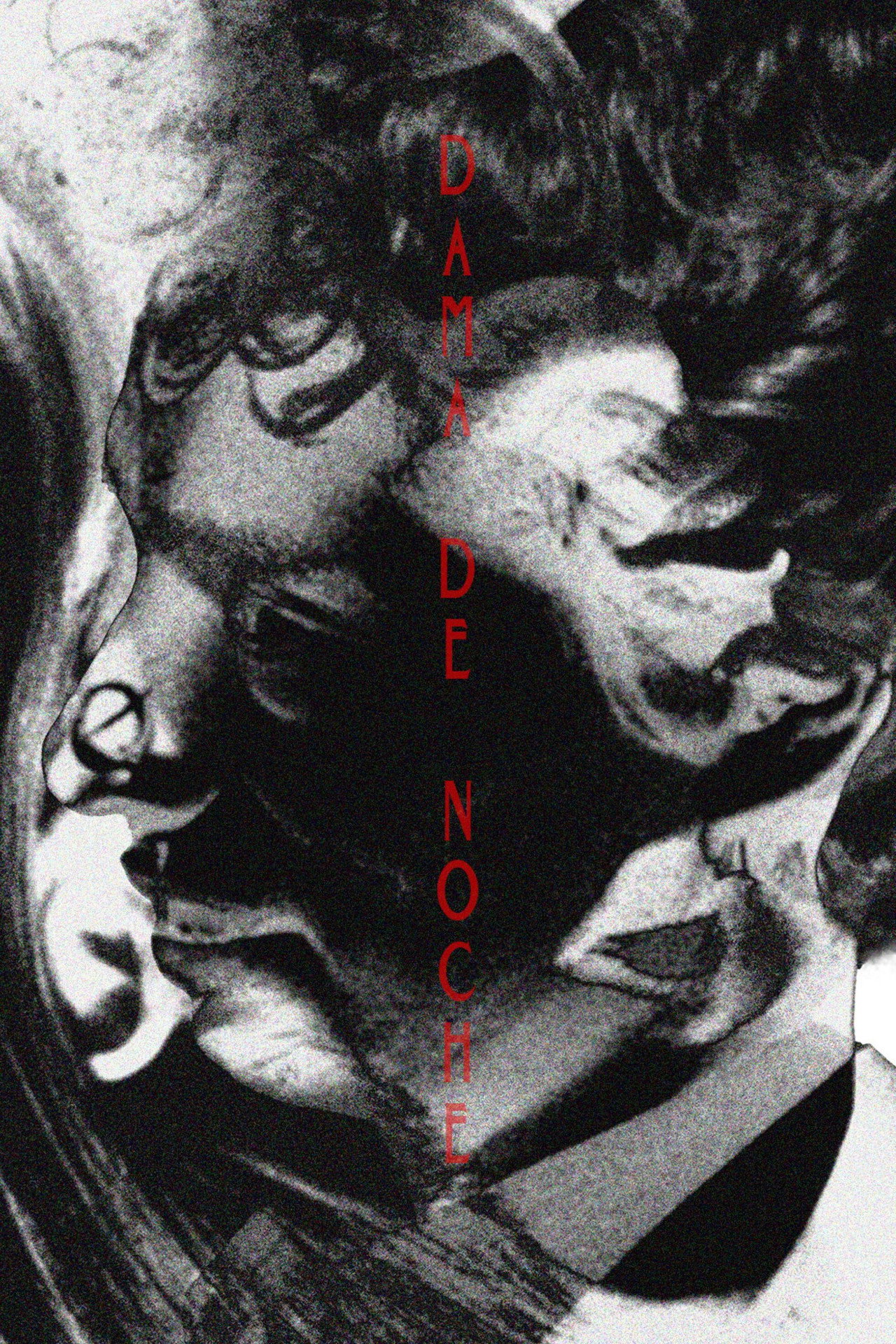 Dama de Noche filmaffisch