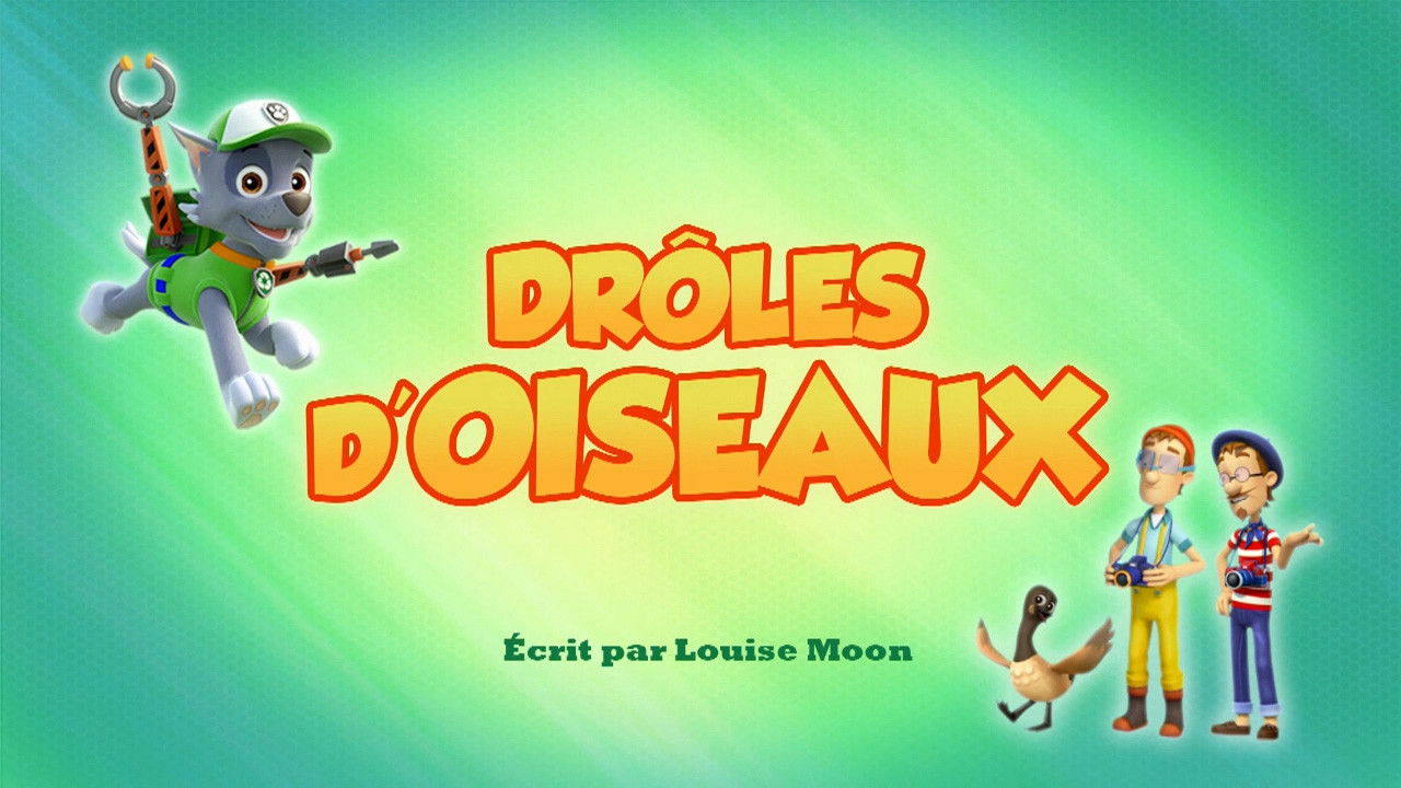 La Pat' Patrouille — Drôles d'oiseaux