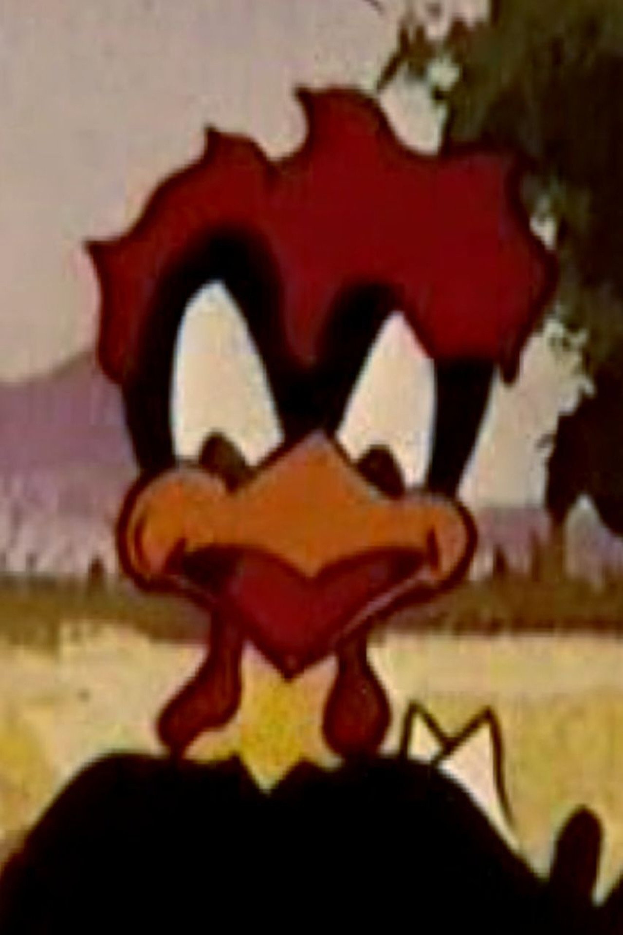 Head of Wheat