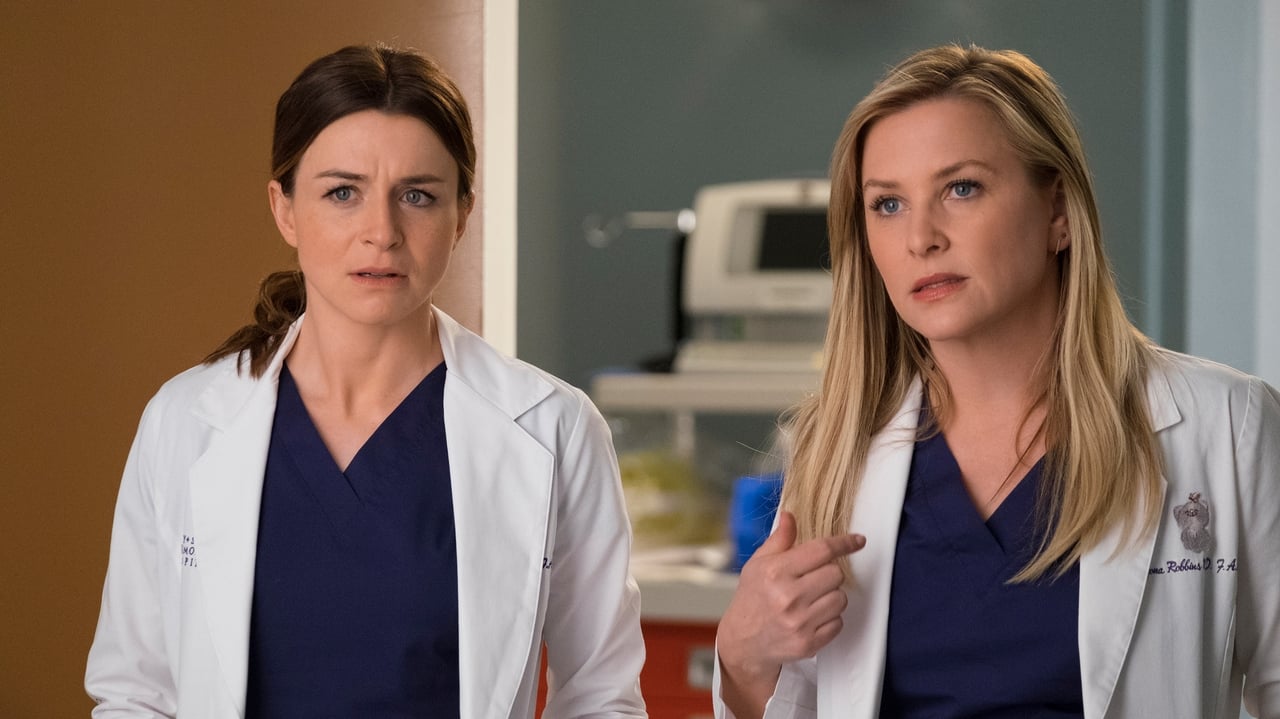 Grey's Anatomy - Season 14 Episode 23 : Cold as Ice