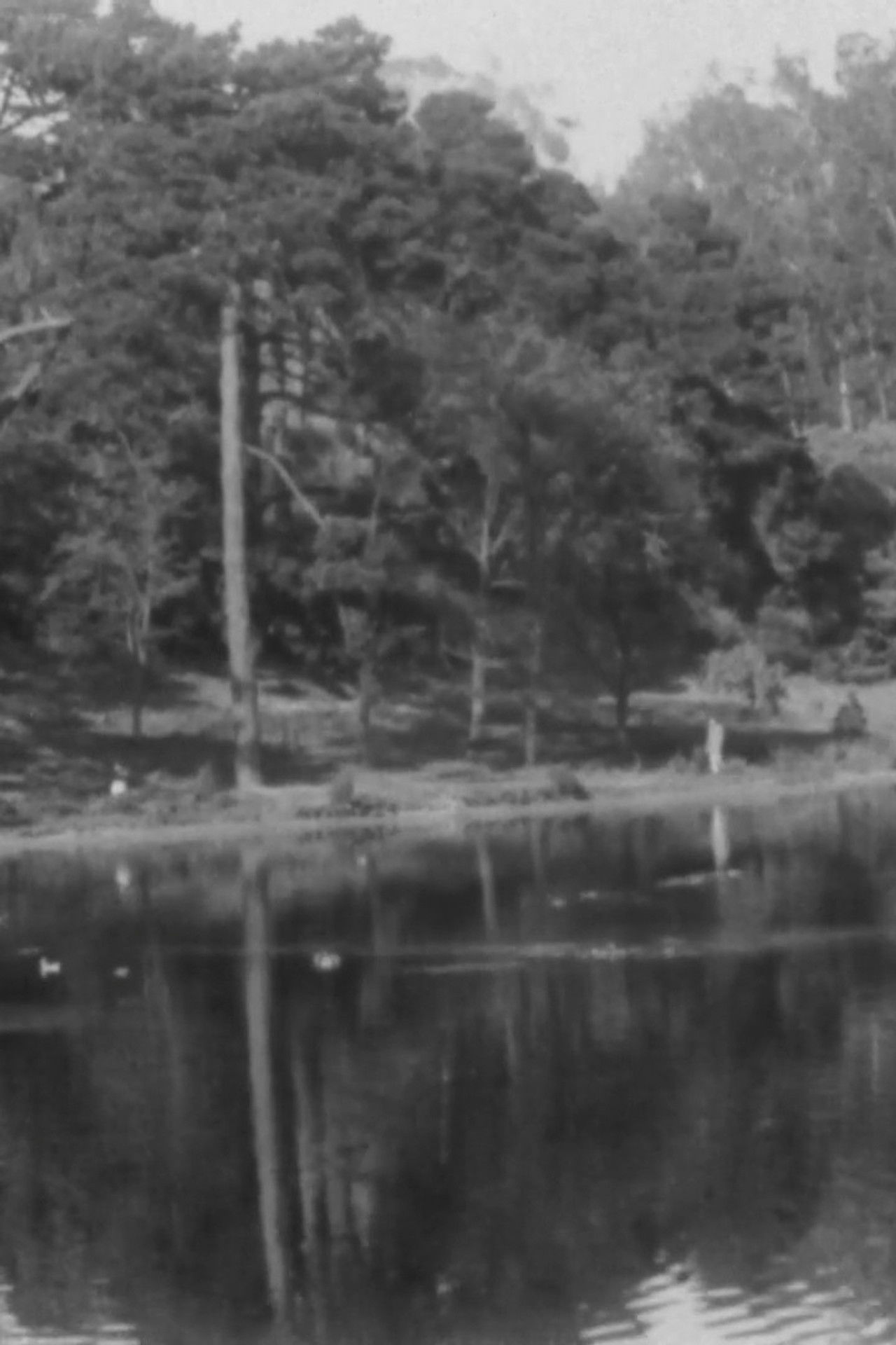 Spectre Mystagogic Backdrop