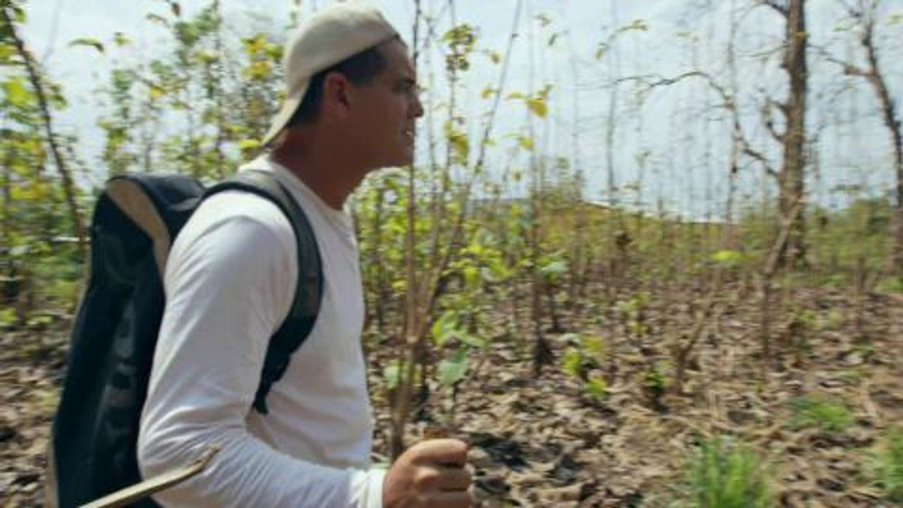 Wild Frank — Épisode 3