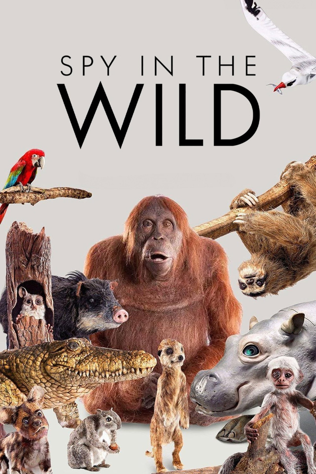 posters 6