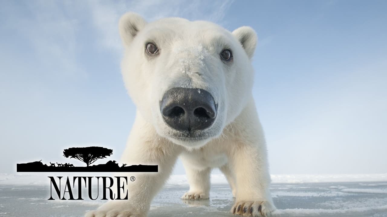 Nature - Season 16 Episode 12 : Forces of the Wild: Heavenly Partners