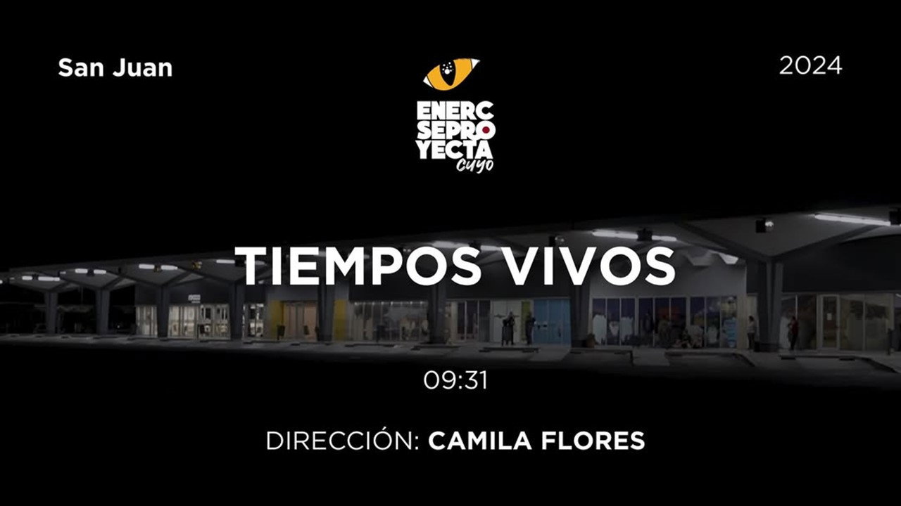 Tiempos Vivos