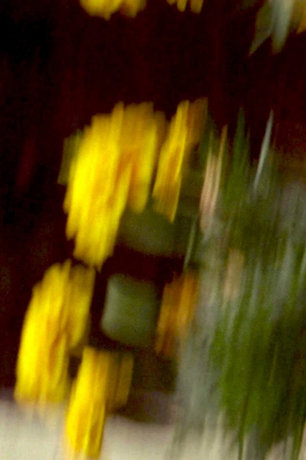 Garden Variety filmaffisch