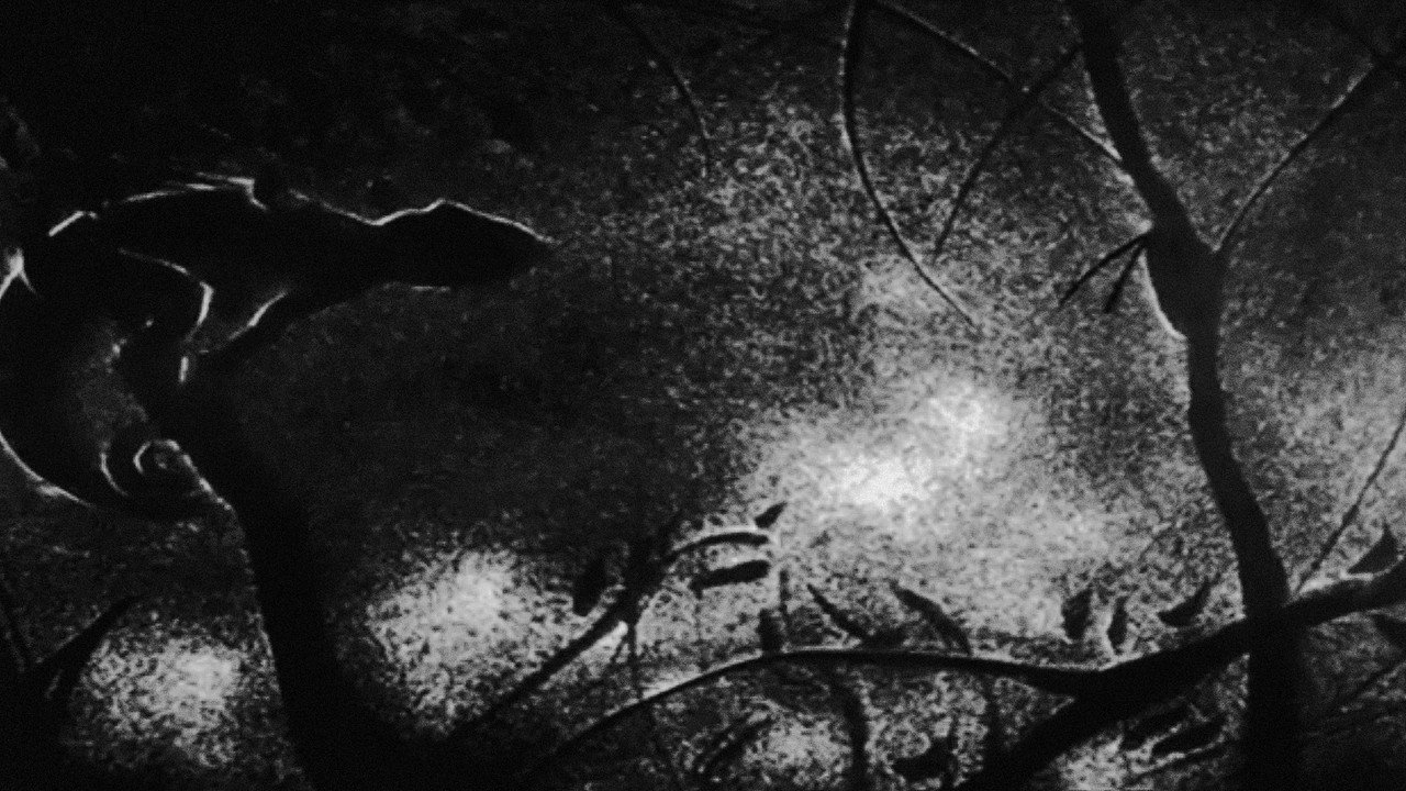 Interior still 3