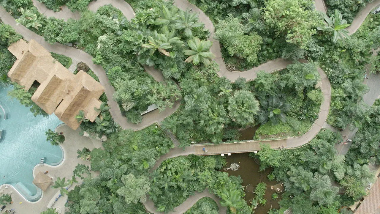 Europa: From Above backdrop