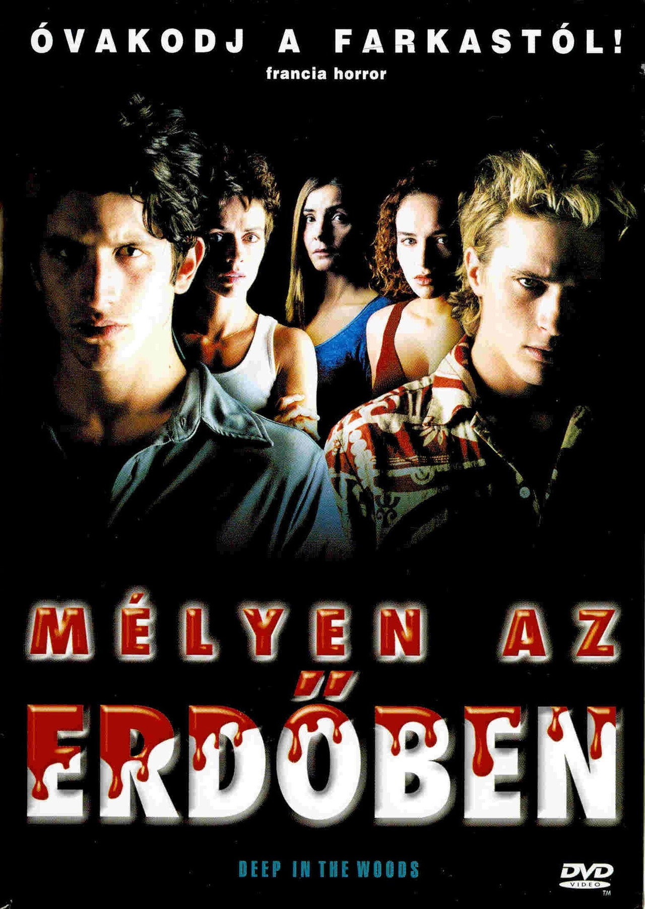 Mélyen az erdőben – plakát 3