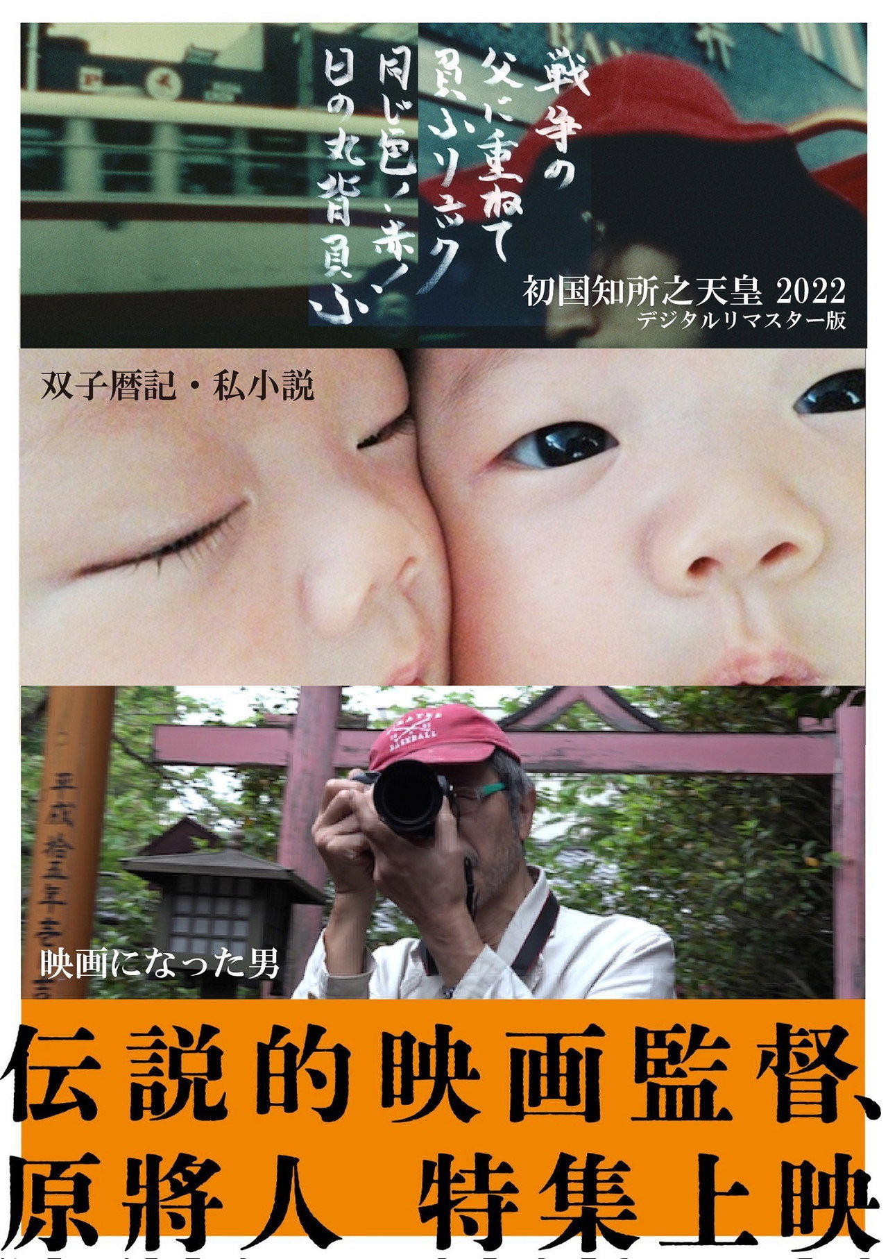 双子暦記・私小説 filmaffisch
