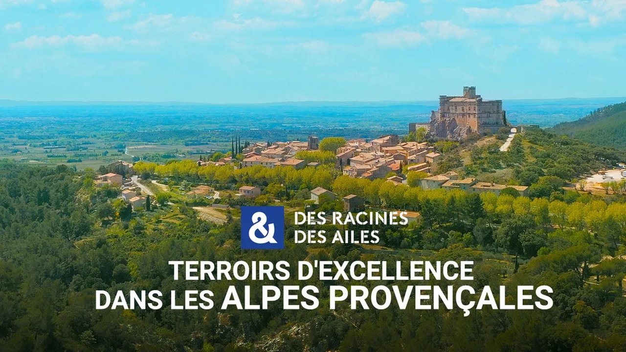 Des racines & des ailes - Season 28 Episode 6 : Episode 6