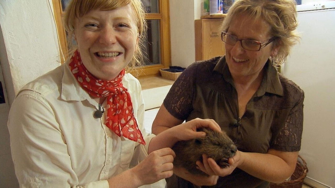 Paula und die wilden Tiere — Épisode 49