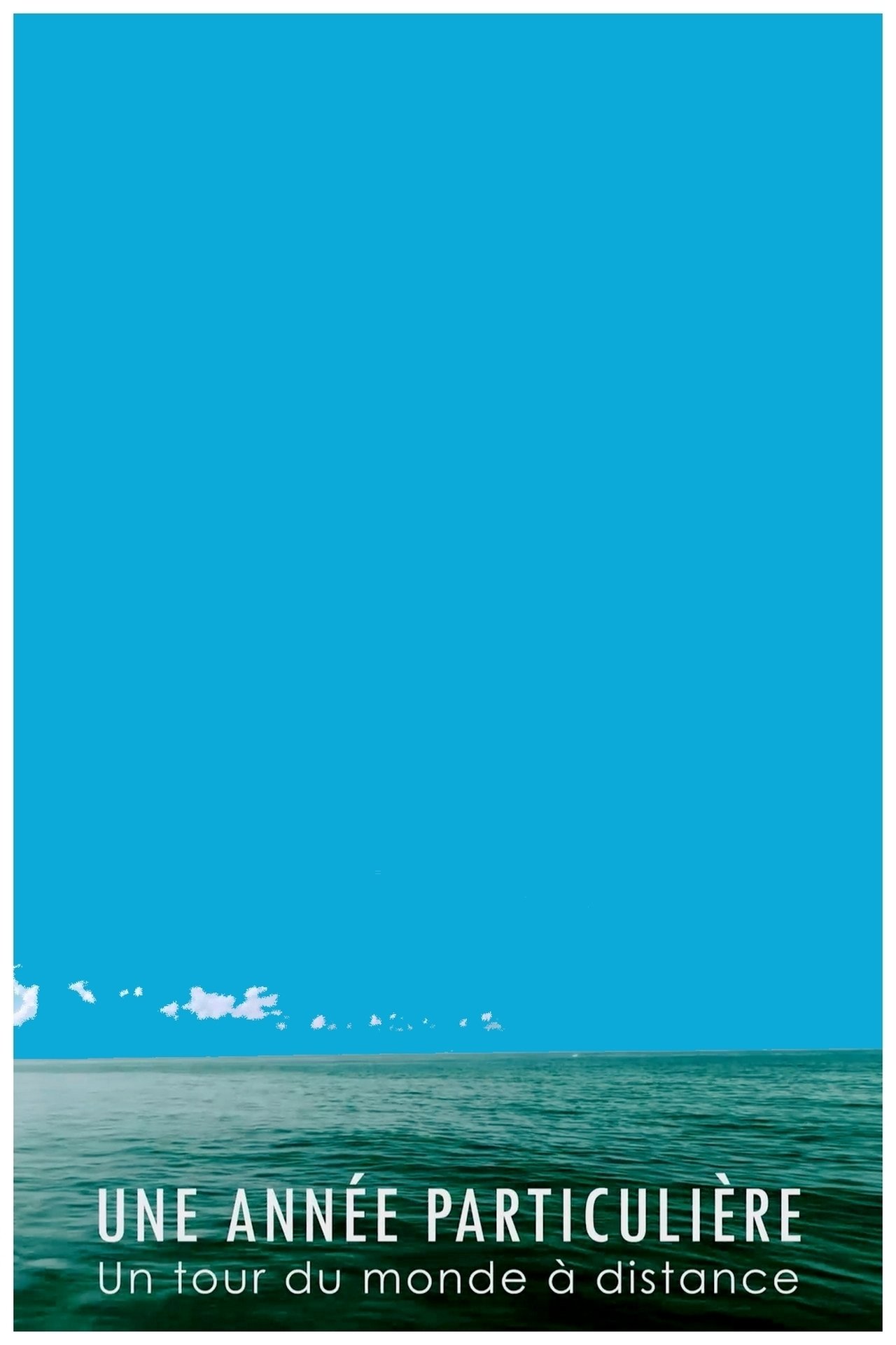 Une année particulière : un tour du monde à distance poster