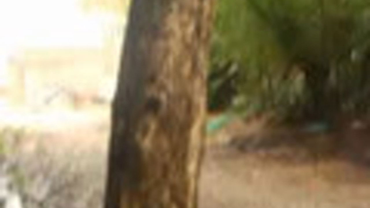 传奇故事 — Épisode 92