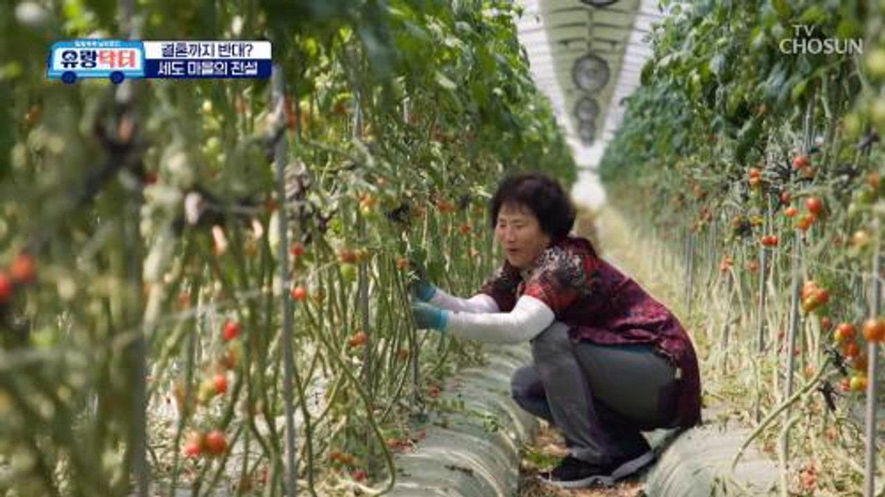 방방곡곡 낭만로드 유랑닥터 — Épisode 15