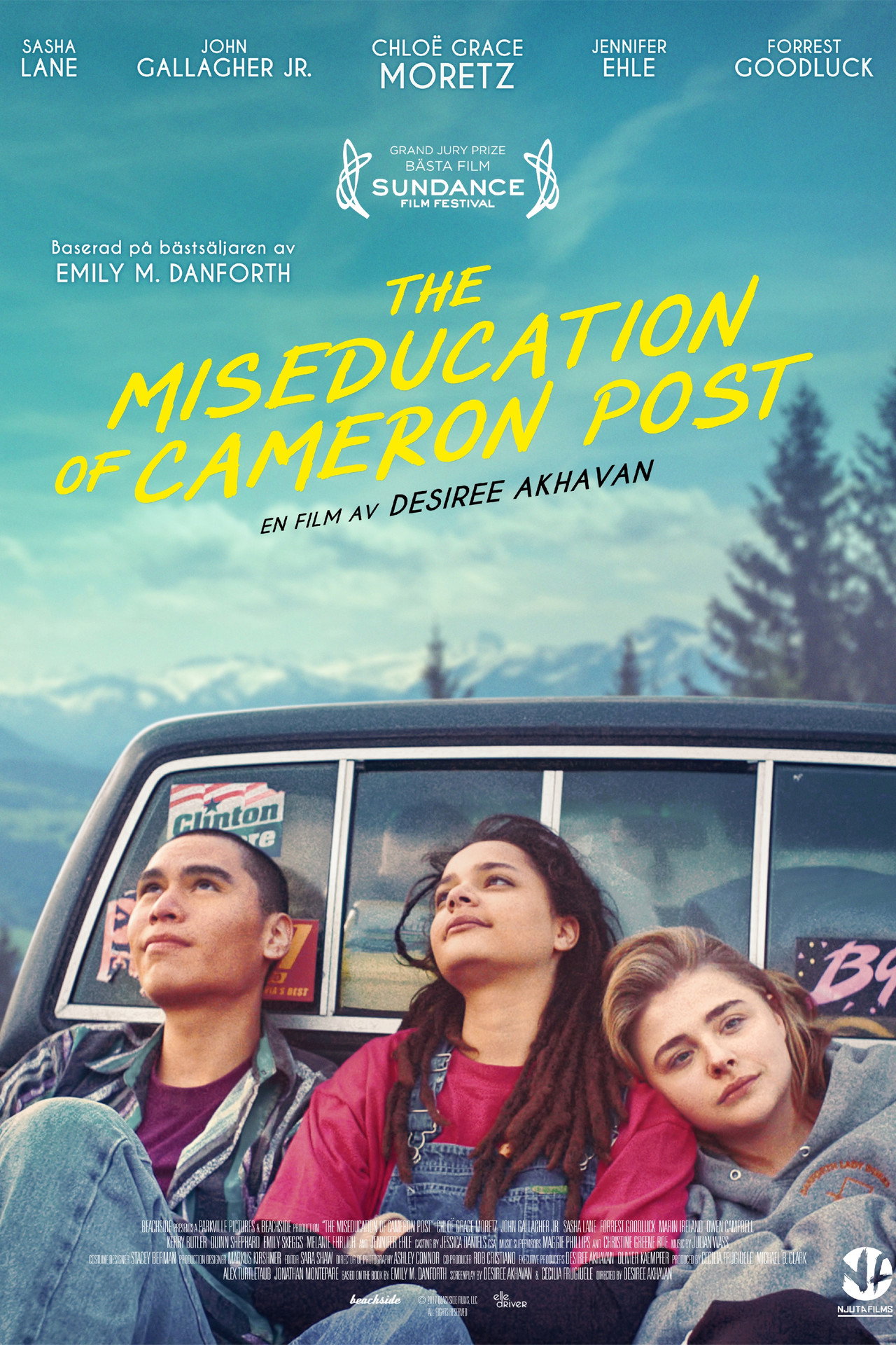 The Miseducation of Cameron Post filmaffisch