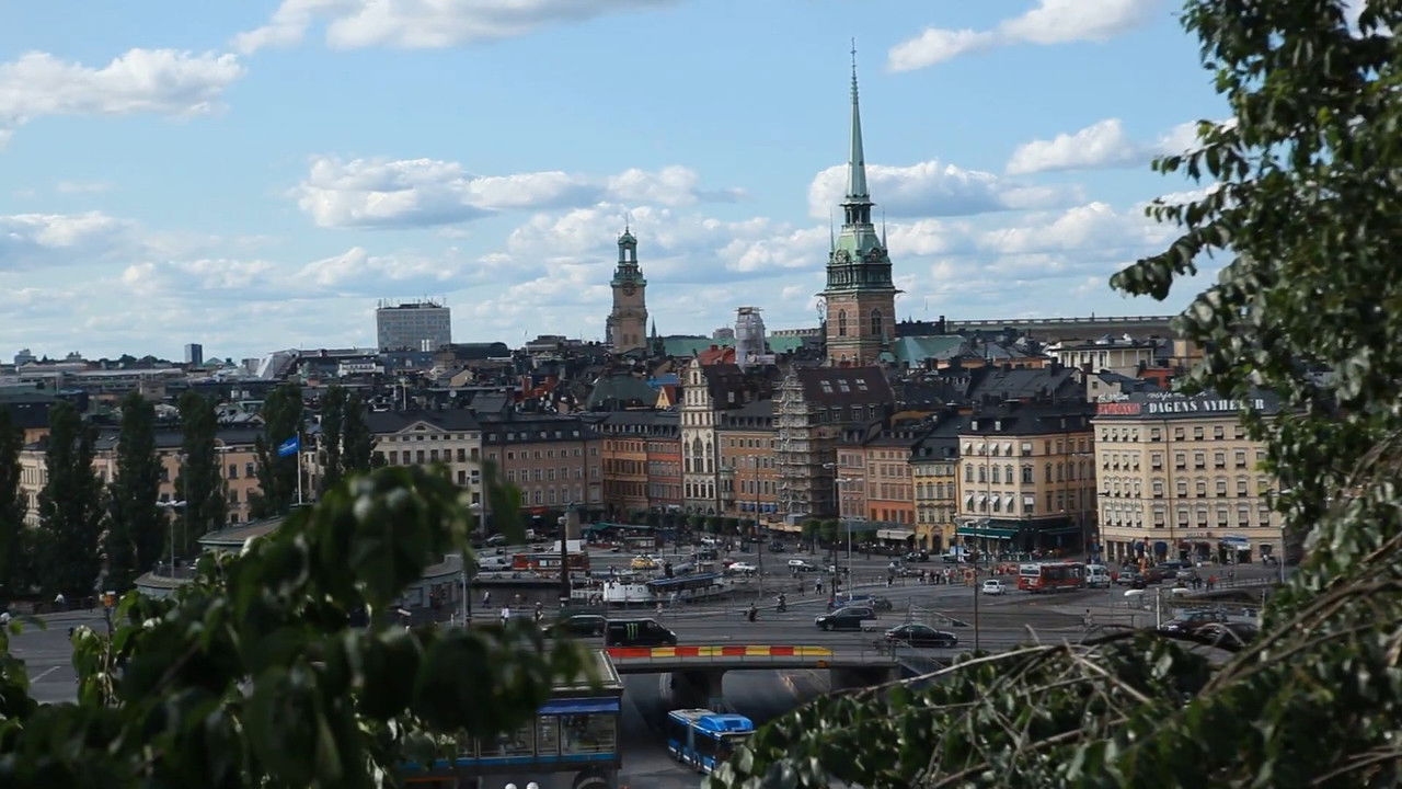 Tselmeg Tenger backdrop