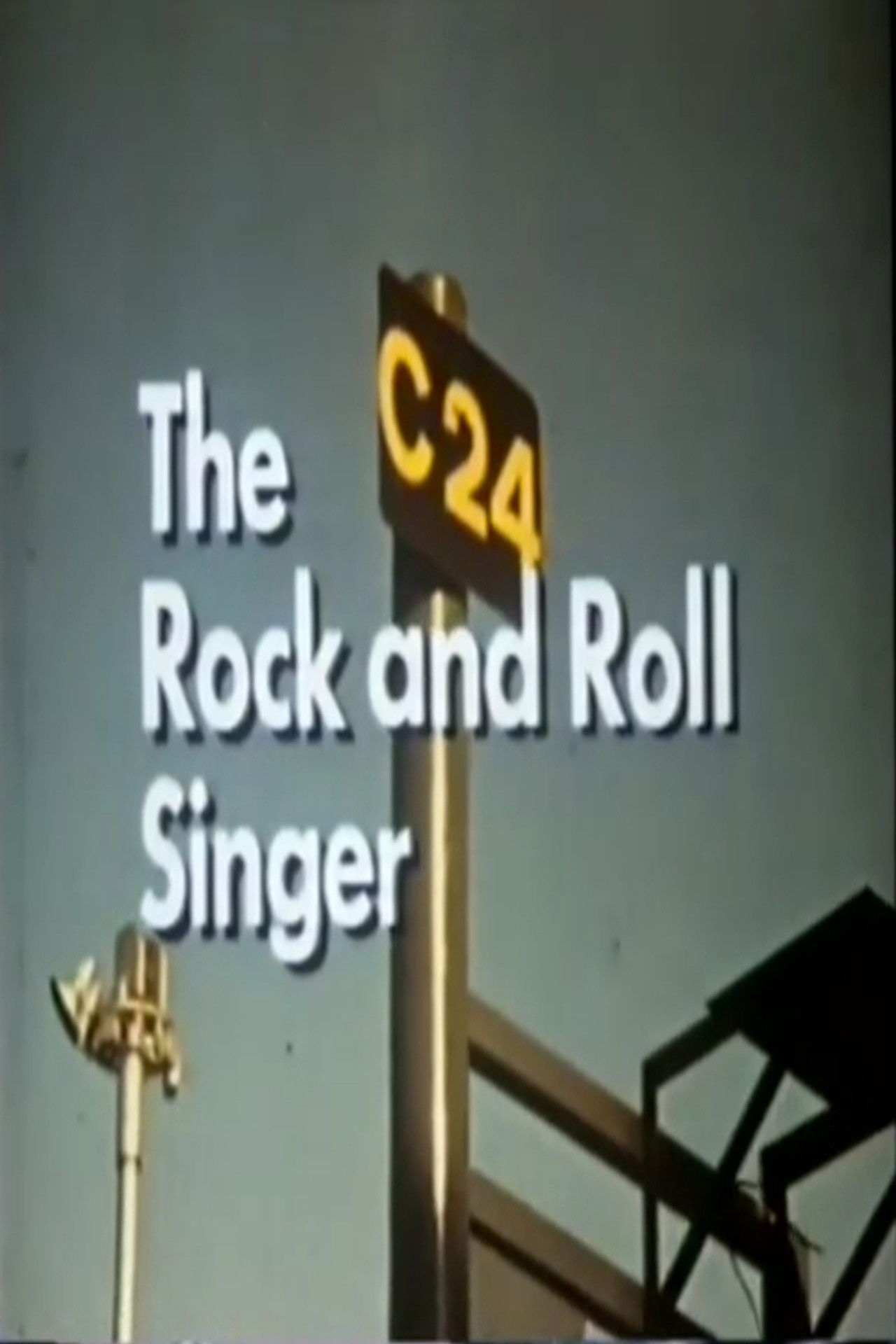 The Rock and Roll Singer Backdrop