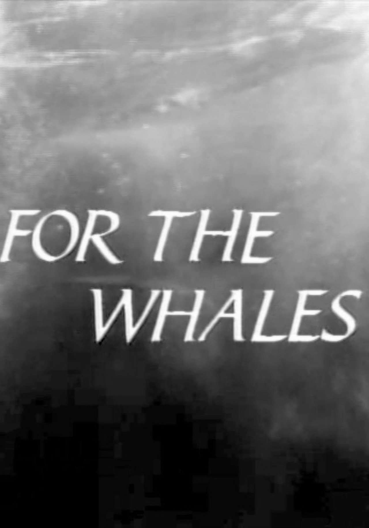 For The Whales filmaffisch