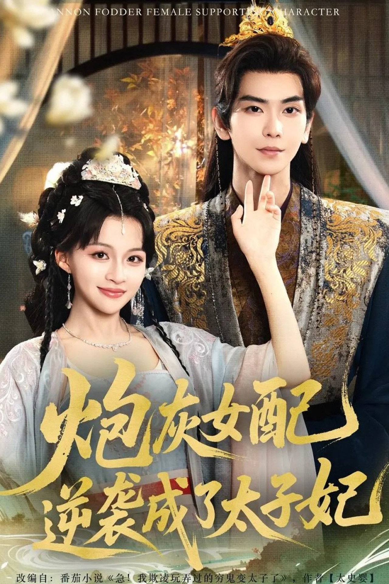 炮灰女配逆袭成了太子妃