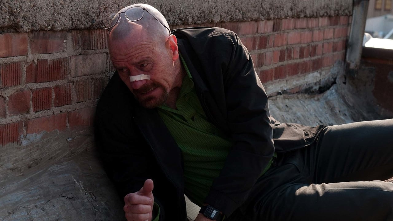 Breaking Bad - Season 4 Episode 12 : End Times