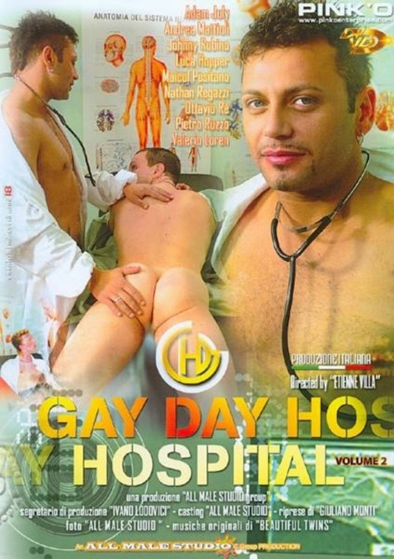 Gay Day Hospital 2 filmaffisch