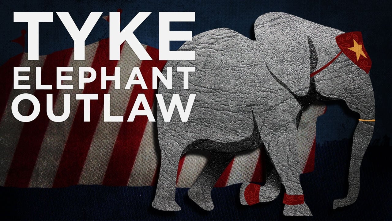 Tyke Elephant Outlaw Backdrop Image