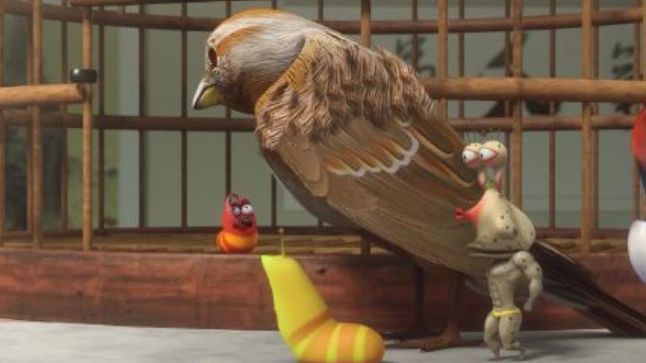 Larva - Season 5 Episode 31 : Episode 31