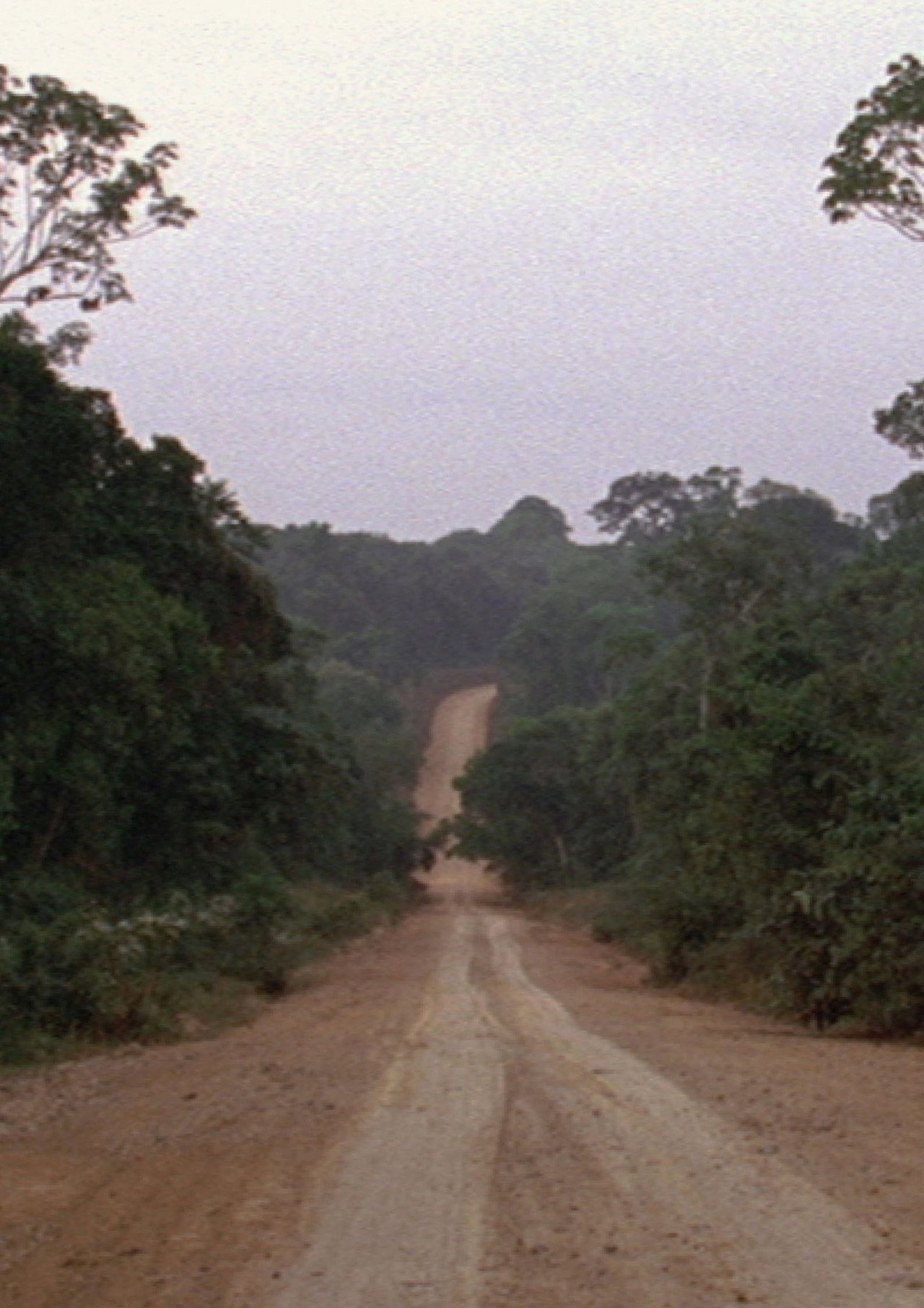 Travelling Amazonia filmaffisch