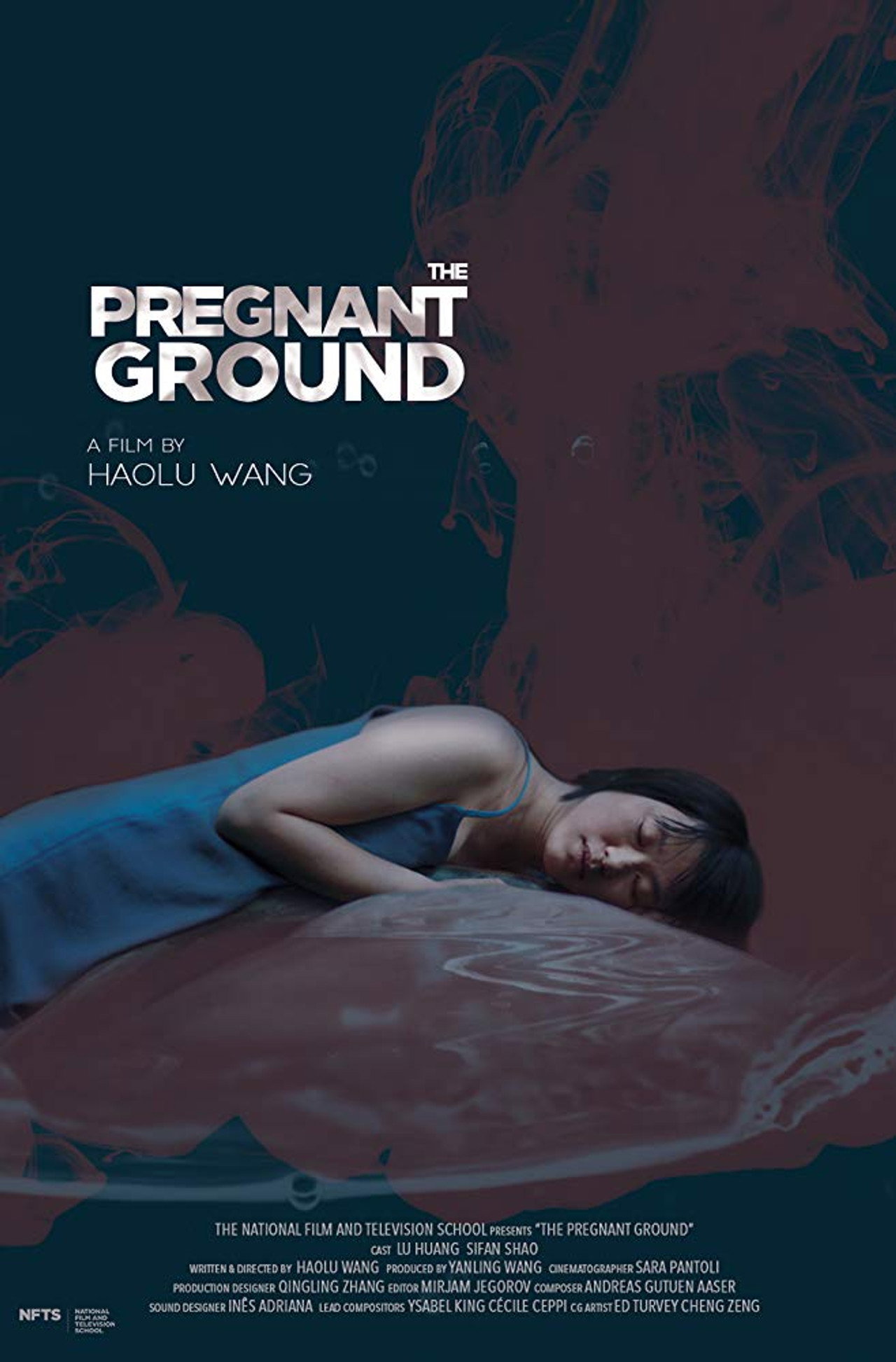 The Pregnant Ground filmaffisch