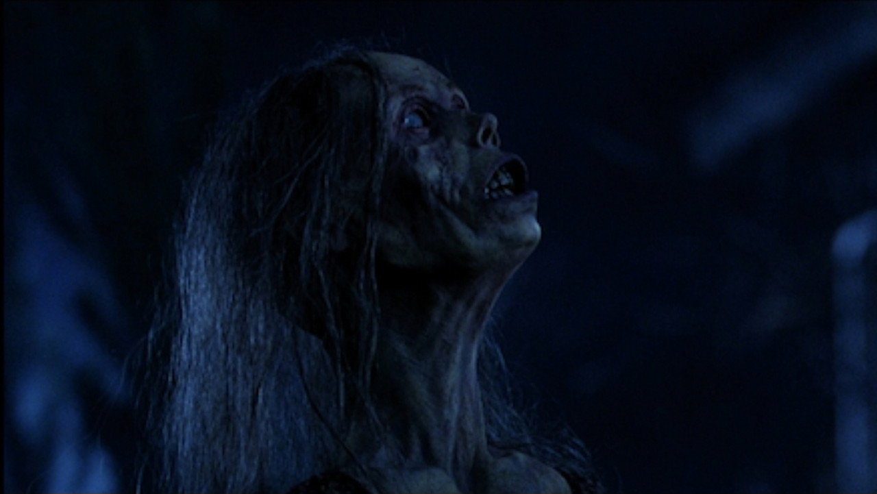 Land of the Dead background 23