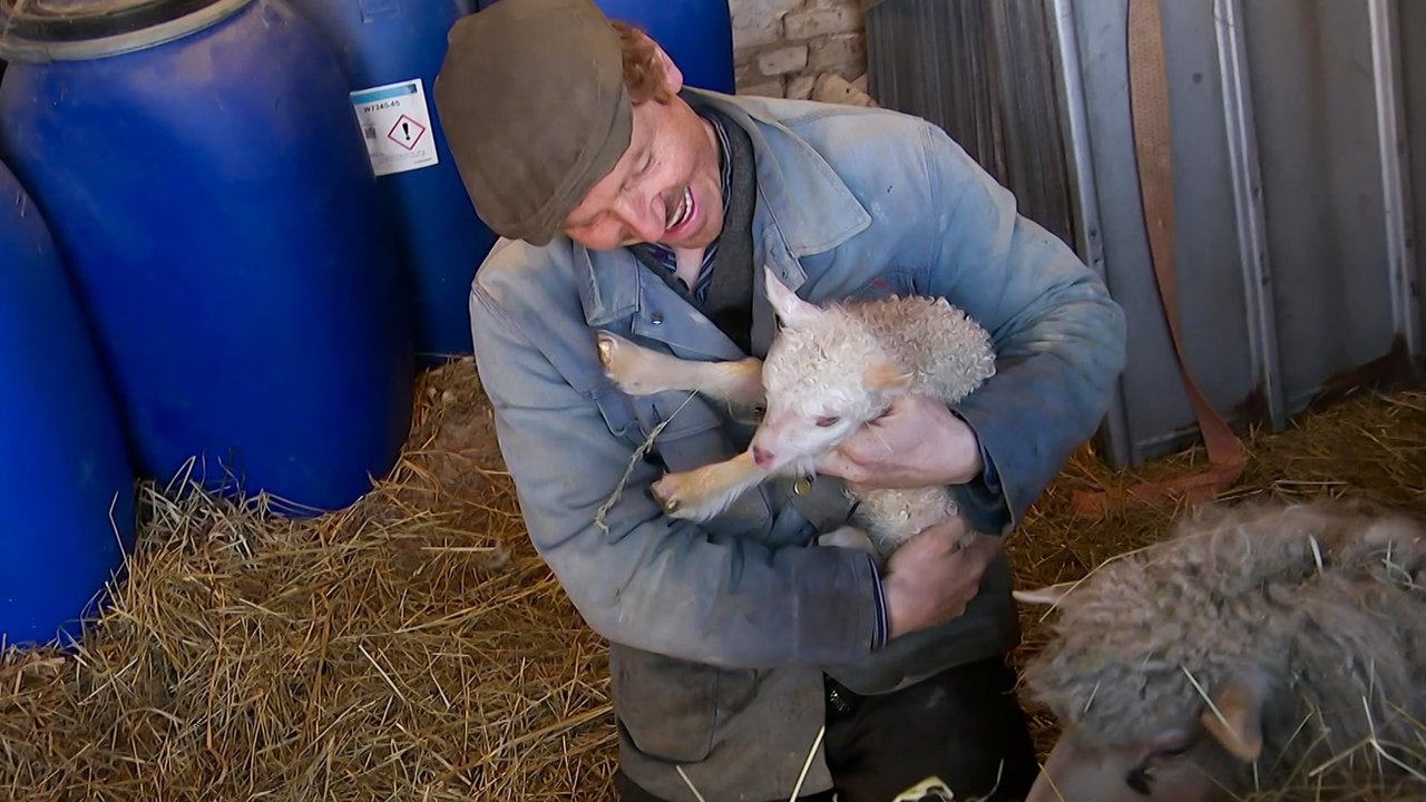 Frank & Kastaniegaarden - Season 29 Episode 9 : Episode 9