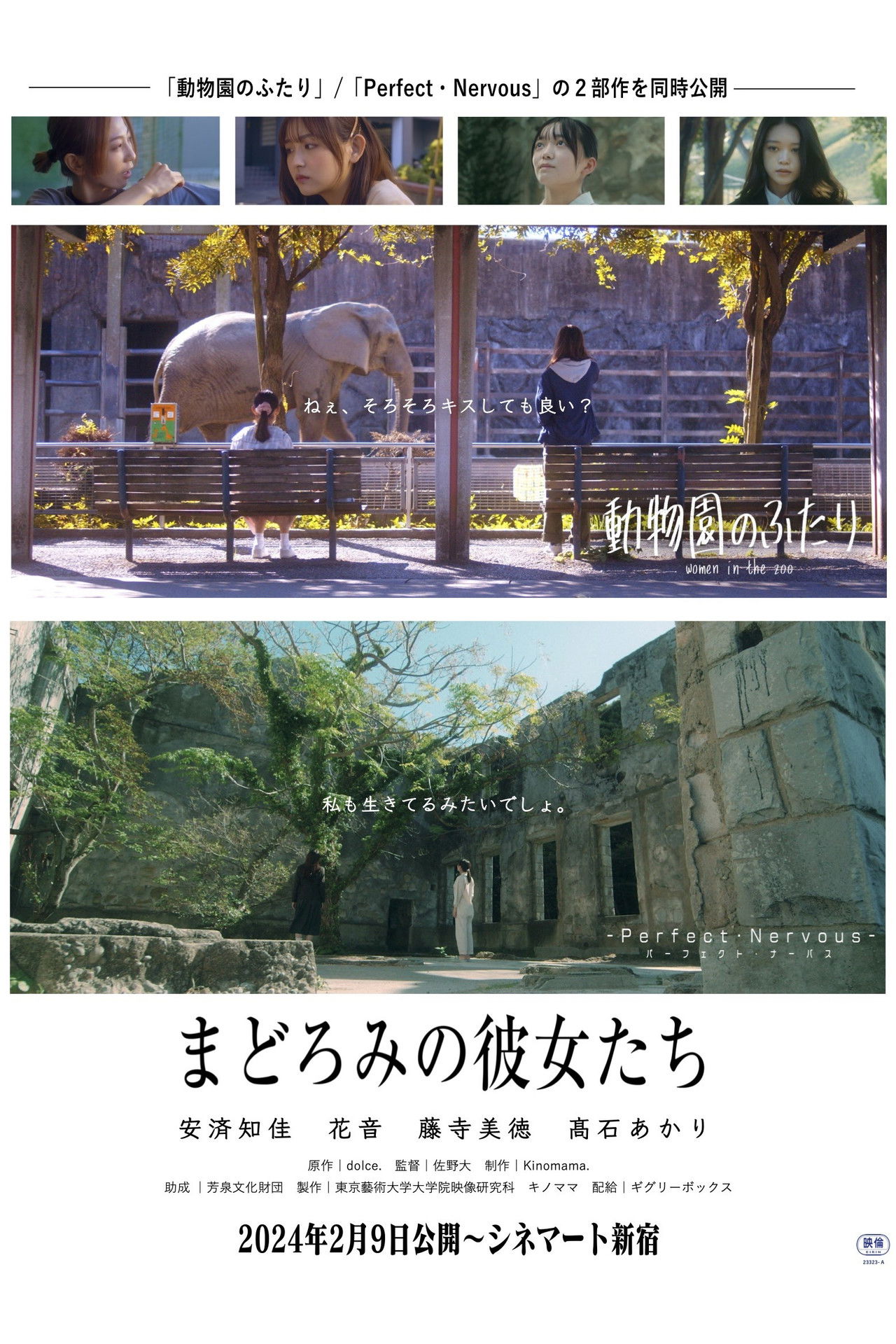 Women in The Zoo Backdrop