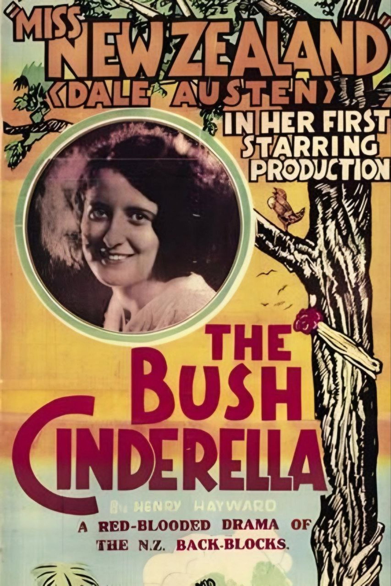 The Bush Cinderella Backdrop