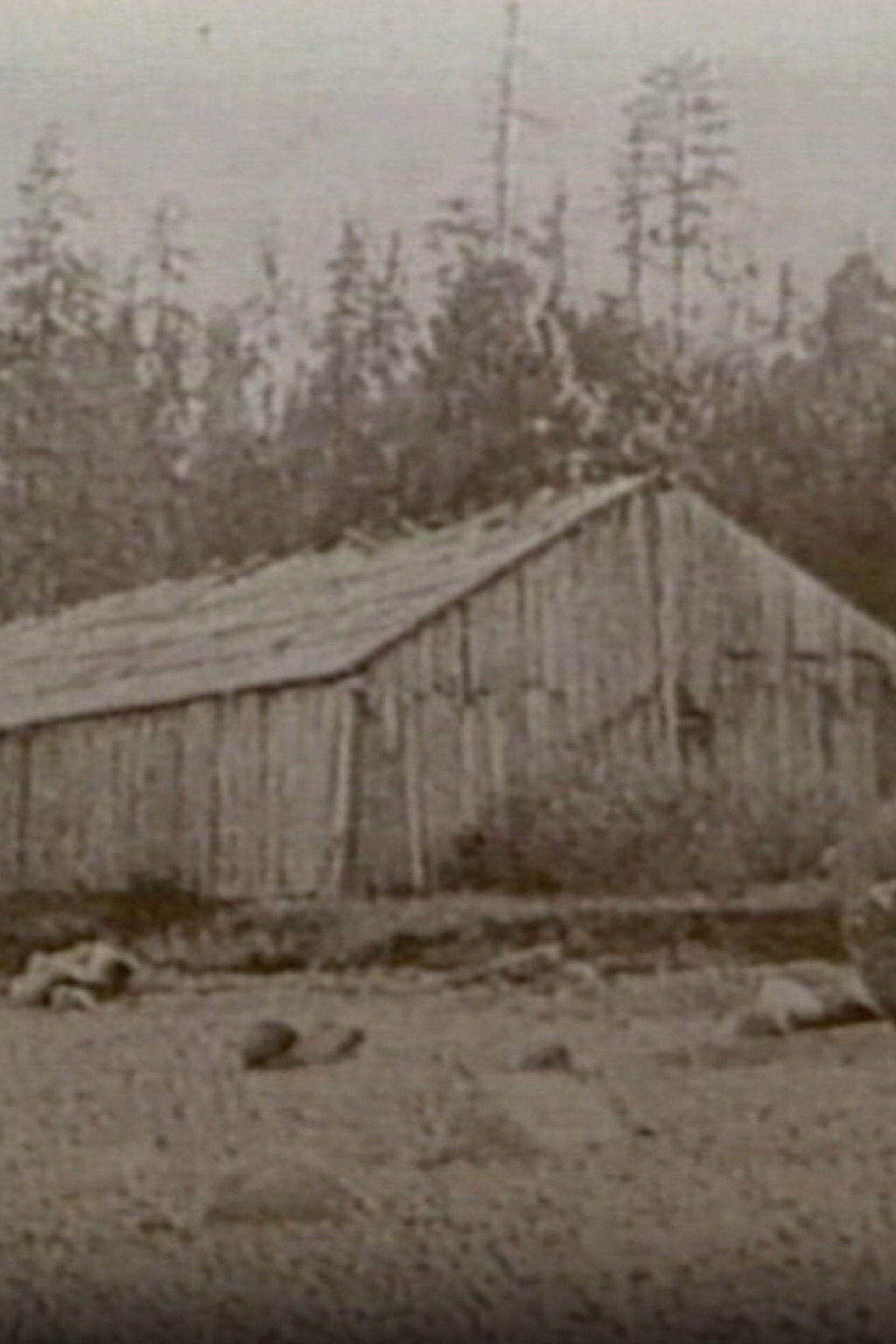 Seattle: Hidden Histories filmaffisch