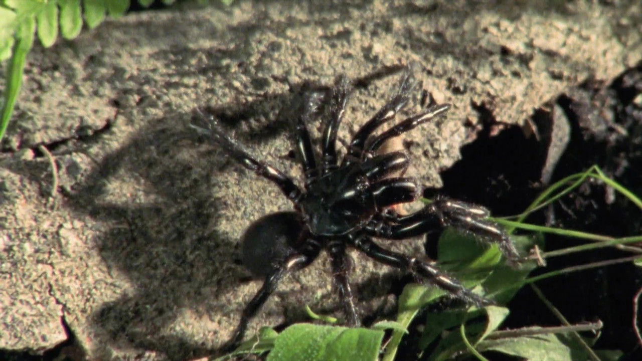 Wild Ones — Épisode 11