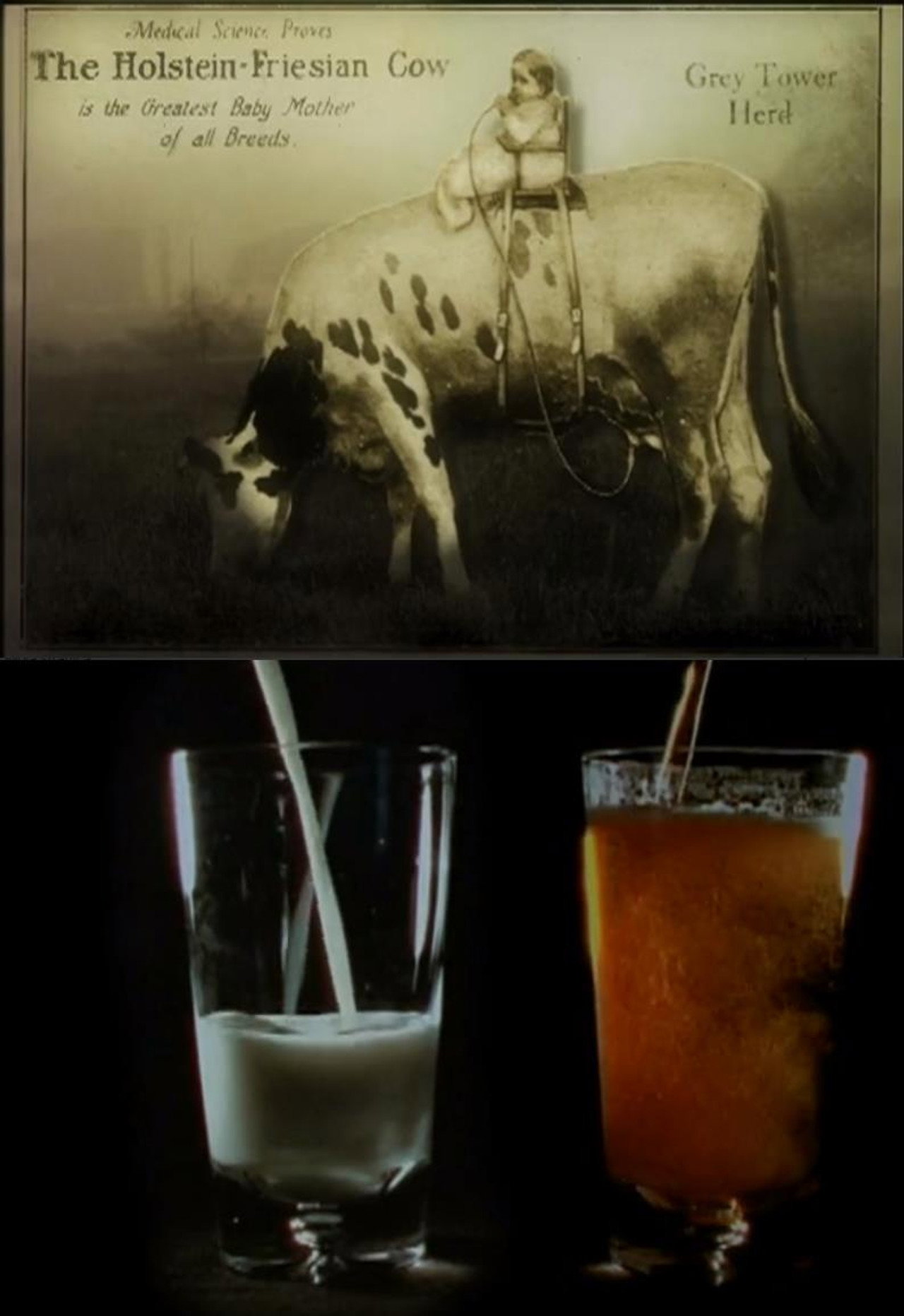 Notes on Milk