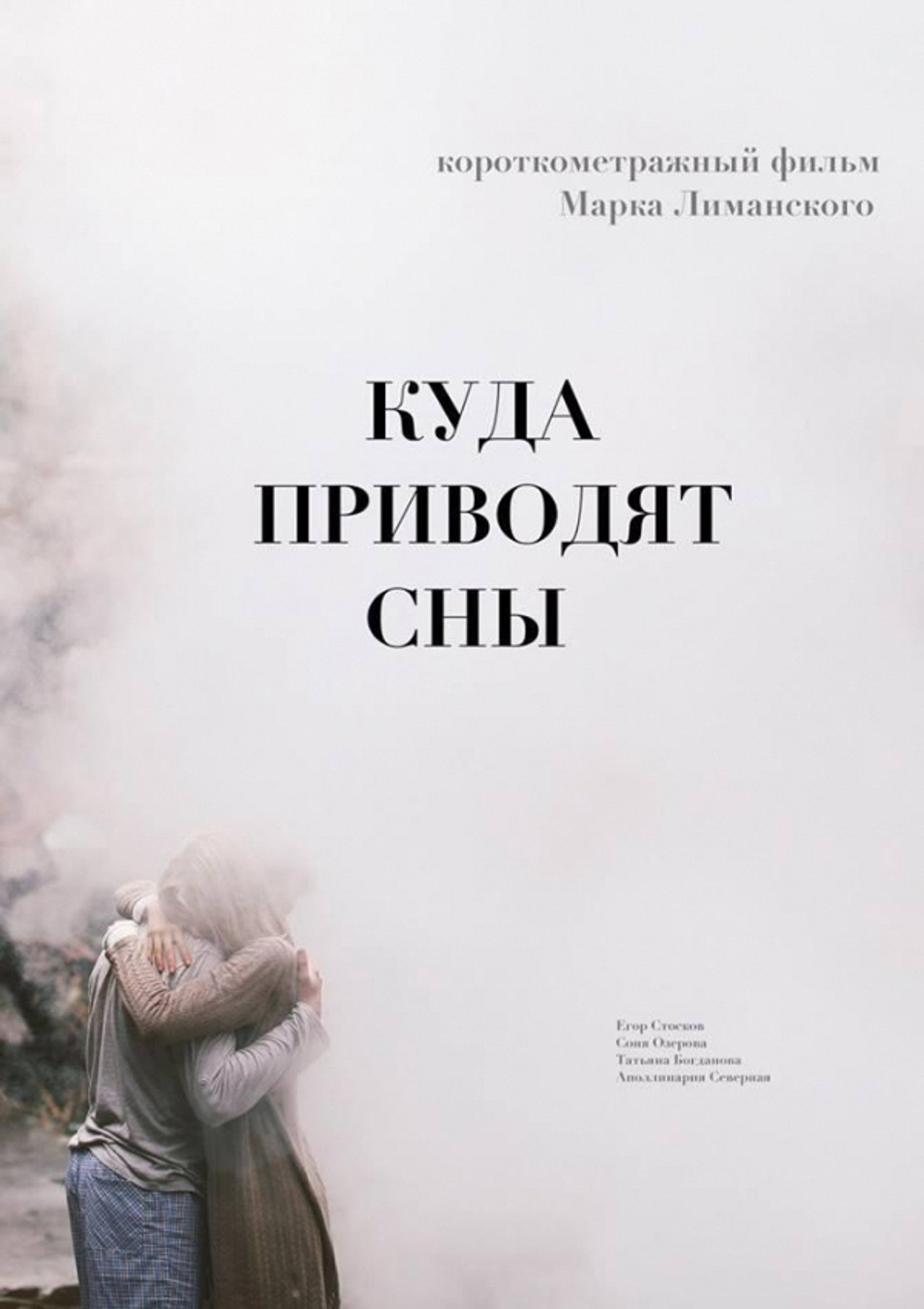 Куда приводят сны filmaffisch