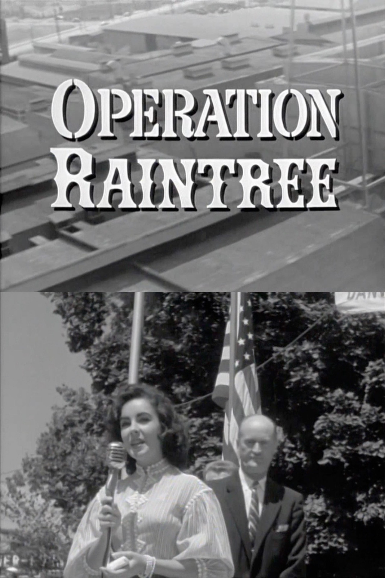 Operation Raintree