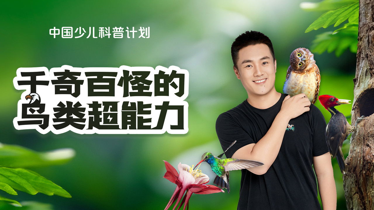 斑马百科探索 — Épisode 12