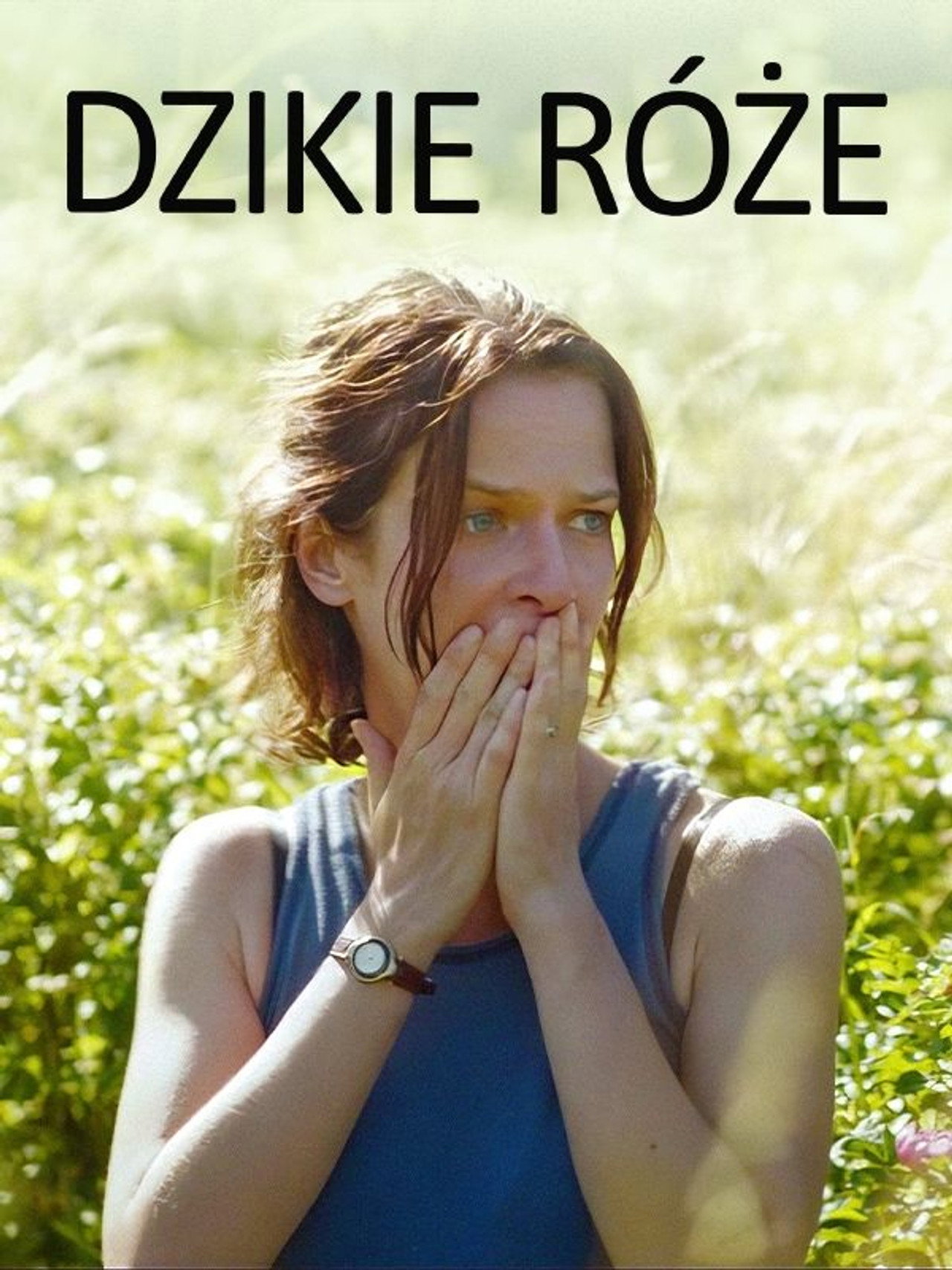 Dzikie róże filmaffisch